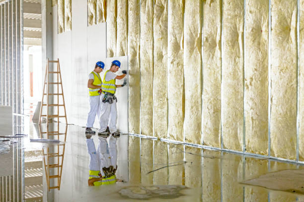 Best Eco-Friendly Insulation in Hays, KS